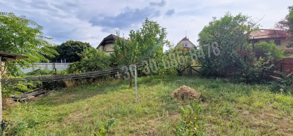 Pest megye - Dunaharaszti