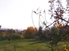 Veszprém megye - Révfülöp
