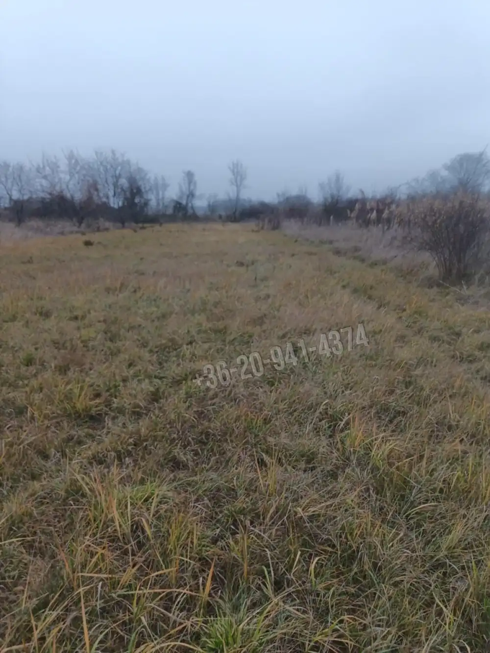 Pest megye - Szigetszentmiklós