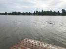 Pest megye - Dunavarsány