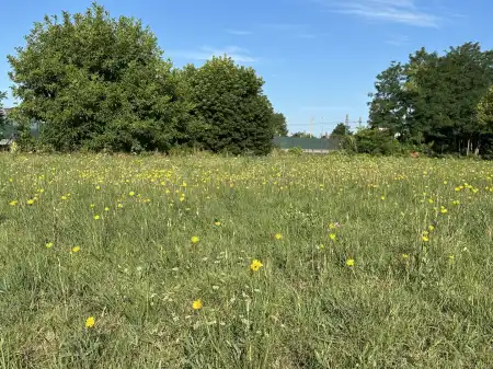 Eladó telek, Tököl 680 m² 14.9 M Ft